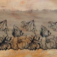 Bordure resille brodee noire petunia