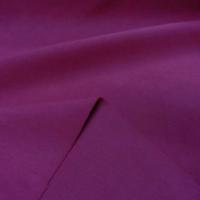 Caban rose 1 