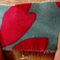 Coton a larges bandes asymetriques