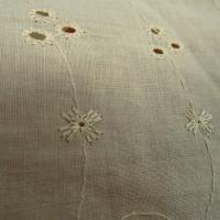 Coton broderie anglaise beige nankin 3 