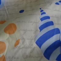 Coton coquillage 02
