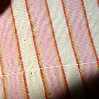 Coton rayé rose-blanc 2