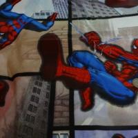Coton Spiderman 02