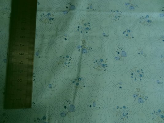 Cotonnade bleu givre 01