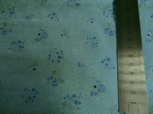 Cotonnade bleu givre 02