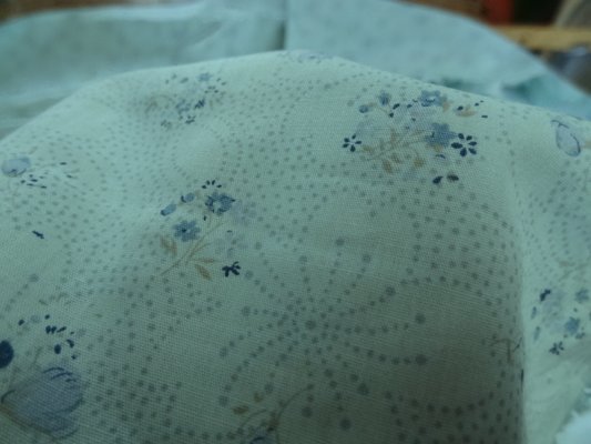 Cotonnade bleu givre 03