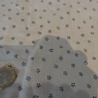 Cotonnade crème petites fleurs bleues 02