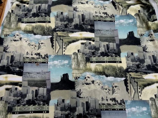 gabardine coton imprimé motifs USA