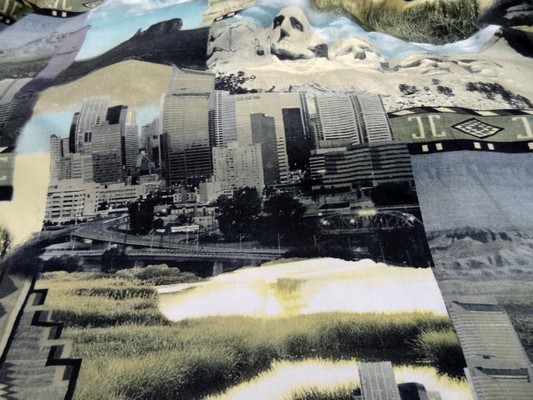 gabardine coton imprimé motifs USA 0