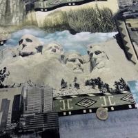 gabardine coton imprimé motifs USA 2