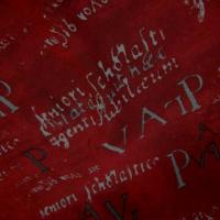 Crepe viscose ecritures fond rouge 3