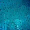 Crepe viscose fin turquoise a sequins 2 