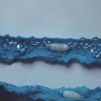 Dentelle amandine coton bleu perle 3