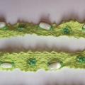 Dentelle amandine coton vert anis perle 3