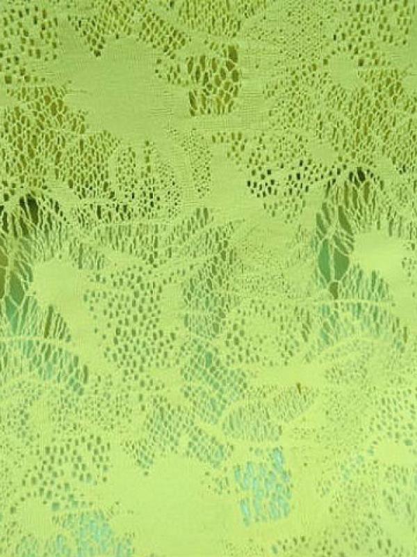 Dentelle lycra arachnee anis 2 