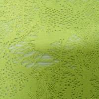 Dentelle lycra arachnee anis 3 