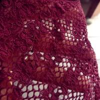 Dentelle lycra prune 2