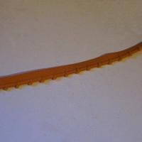 Elastique finition picot corail clair 1