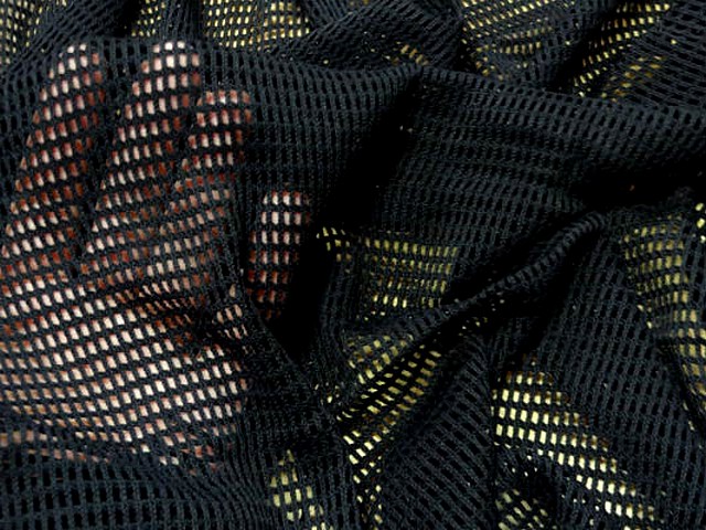 Etole resille noire 1