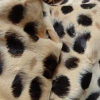 Fausse fourrure beige motif leopard 2 