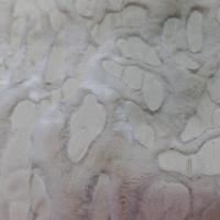 fausse fourrure beige ton sur ton façonné léopard