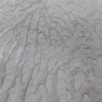 Fausse fourrure beige ton sur ton faconne leopard6