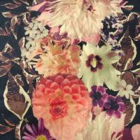Gabardine coton lycra bleu encre fleurie chrysanthemes 3 