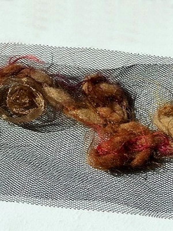 Galon aimant laine feutree et bouton de rose beige dore 3