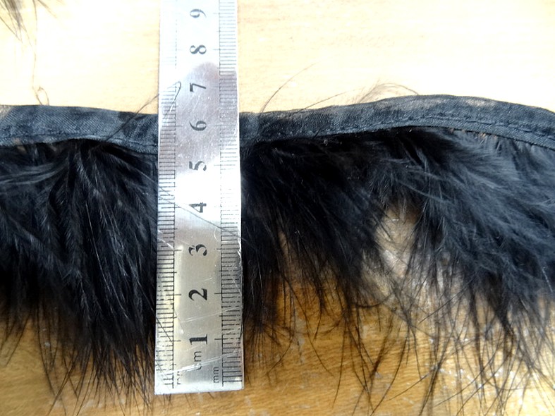 Galon boa plumes noires 1