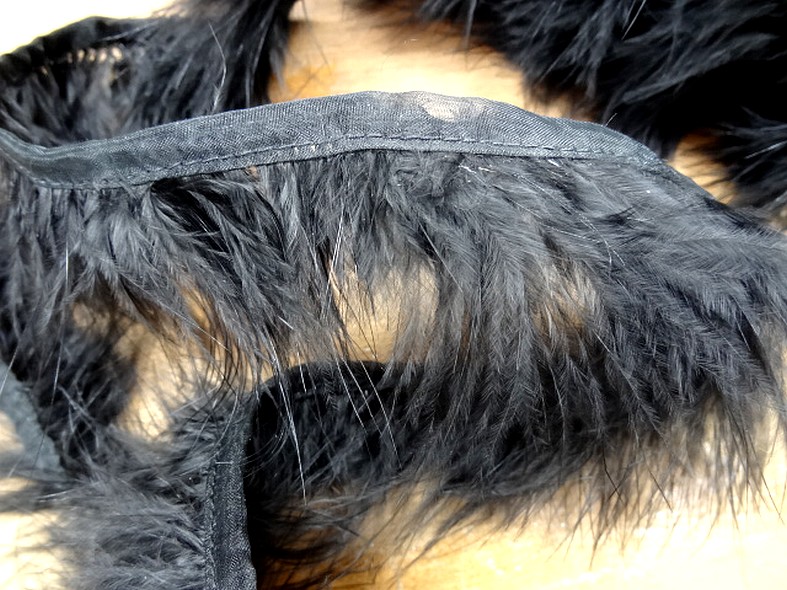 Galon boa plumes noires