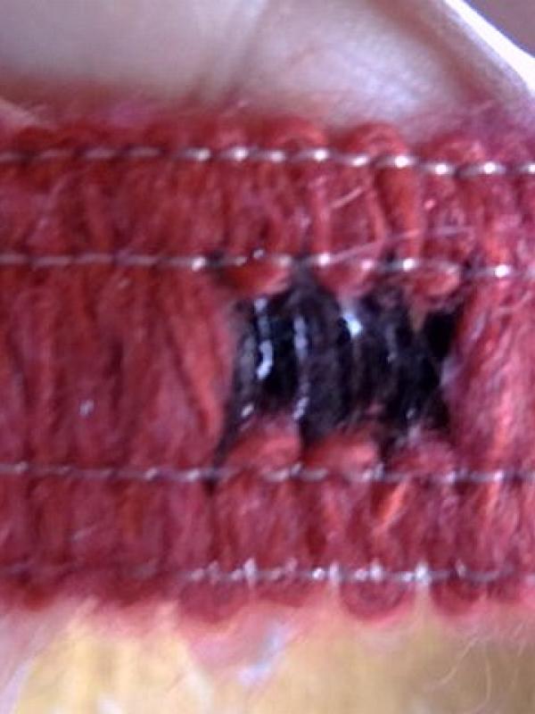 Galon cache cache framboise noir 3