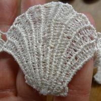 Galon coquilles st jacques ecru 3 