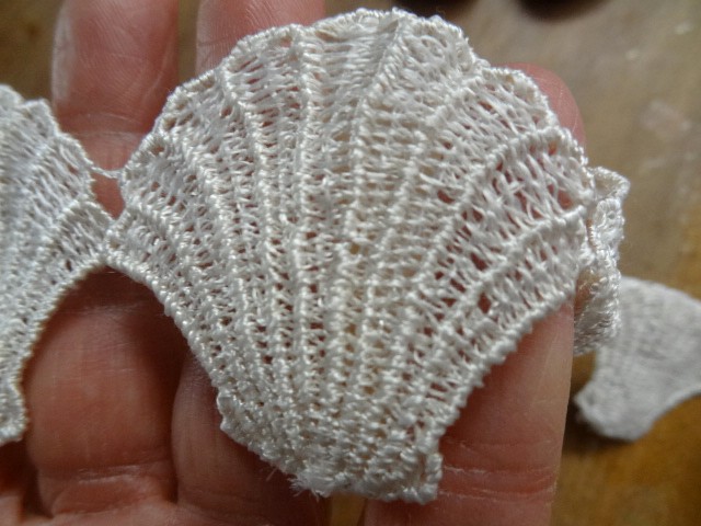Galon coquilles st jacques ecru 3