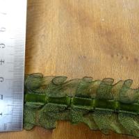 Galon d organza bouillonnant vert foret 1 