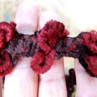Galon elastique velours chenille marron rouge pompons 3d 3 