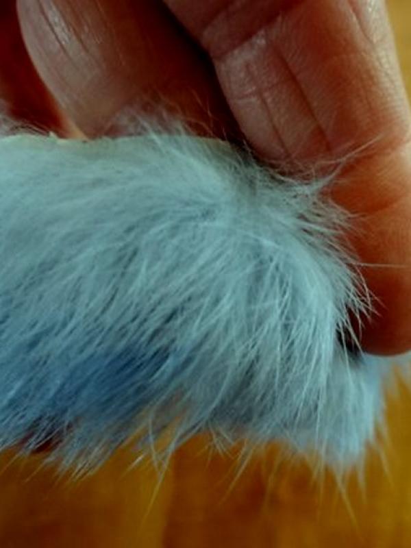 Galon en poils de lapin bleu ciel 02 2 