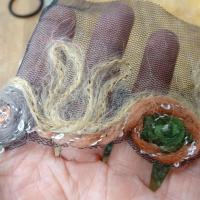 Galon laine feutree sur resille noire macaron saumon noisette et vert 2