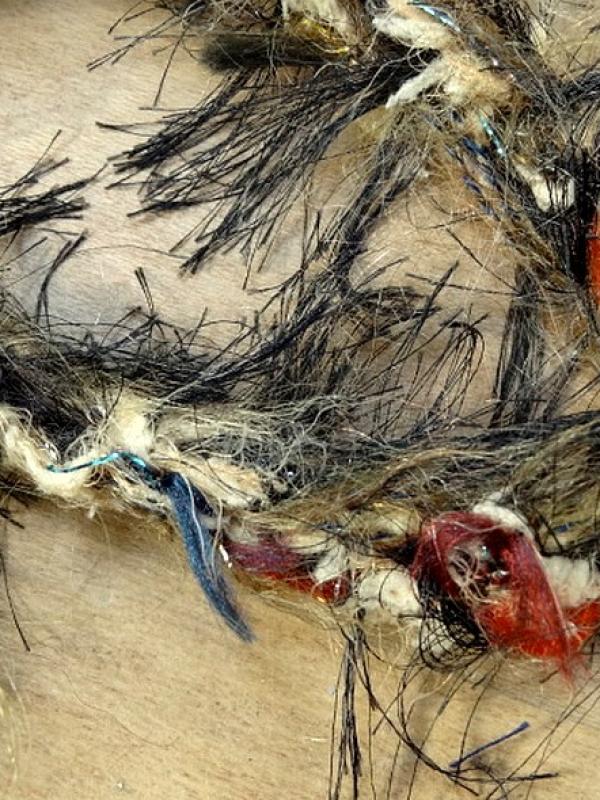 Galon tresse plumes filantes brun bleu canard feu