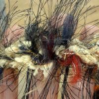 Galon tresse plumes filantes brun bleu canard feu