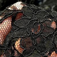 Guipure fleurie noire 1 1