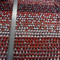 Jersey coton viscose pois bordeaux 01