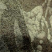 Jersey de laine aspect laine cardee beige chine fleuri ecru 6