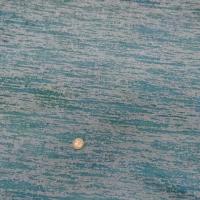 Jersey devore bleu aspect crepis 3