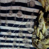 Jersey devore marine3