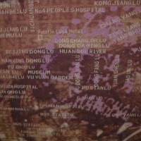 Jersey viscose lycra rose indien sepia carnet de voyage 3