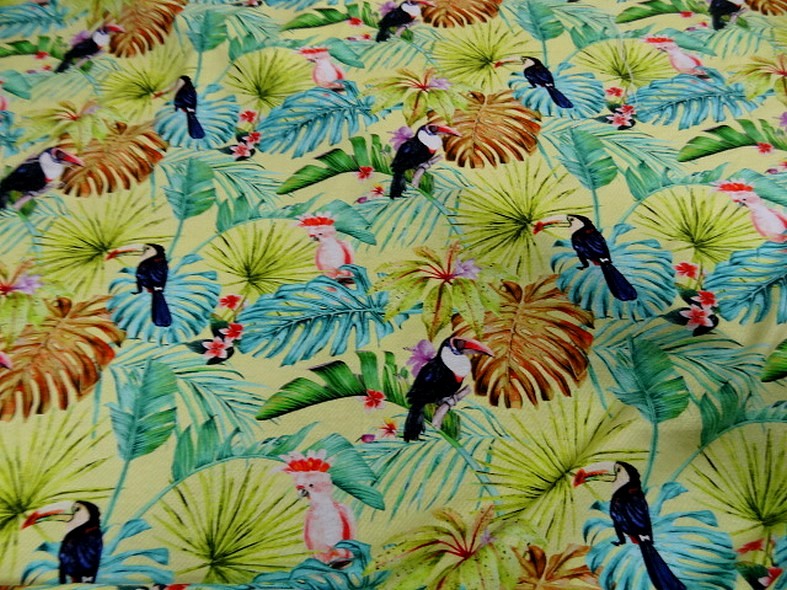 Jersey viscose toucan et cacatoes 2