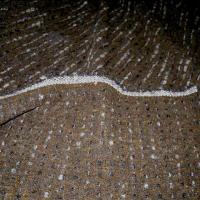 Lainage alezan rayures en pointilles epais gris chine 1