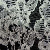Laine bouillie noire en habit de dentelle et sequins 3 