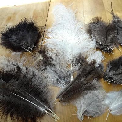 Lot plumes d autruche 1 