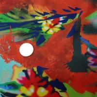 Lycra ara macao fleuri 2 1